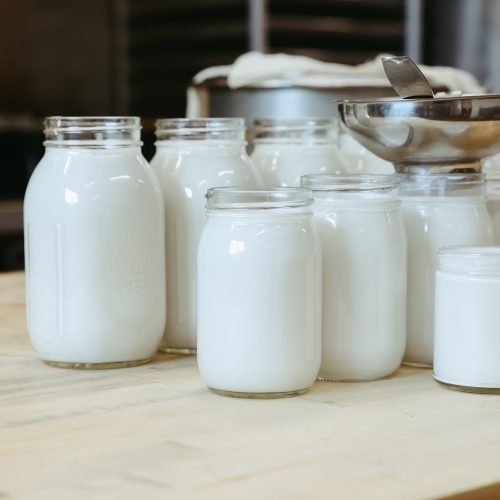 Dairy Free Coconut Yogurt